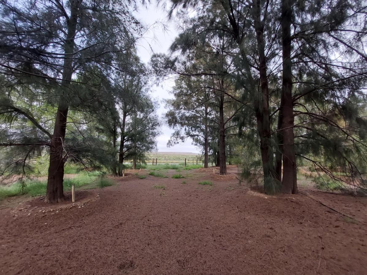 Three Sons Guest Farm Villa Loxton Dış mekan fotoğraf